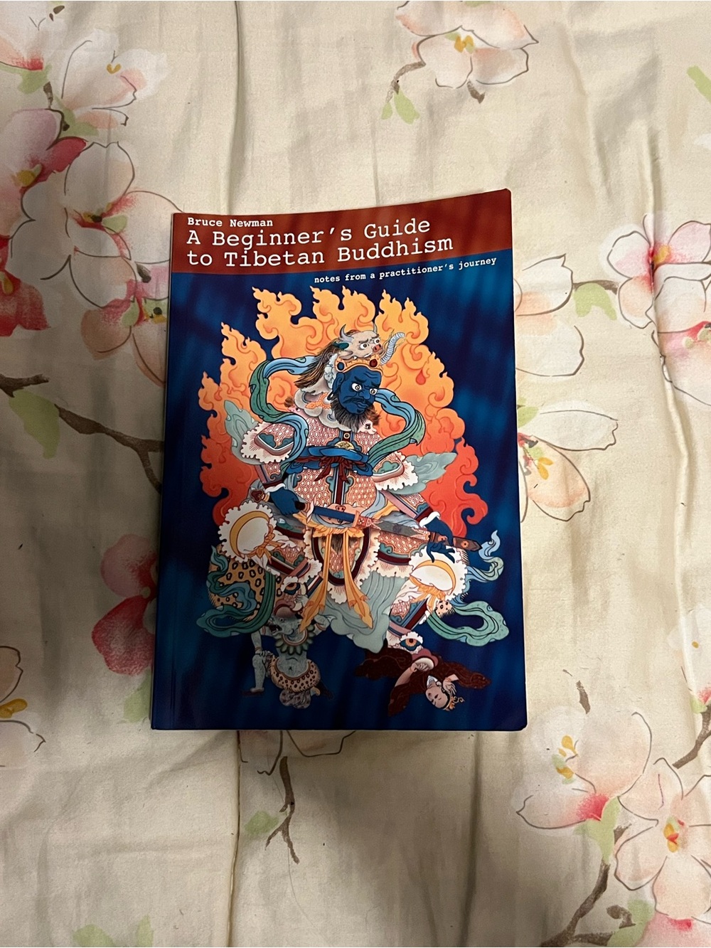 A Beginner's Guide to Tibetan Buddhism: - Paperback, Bruce Newman